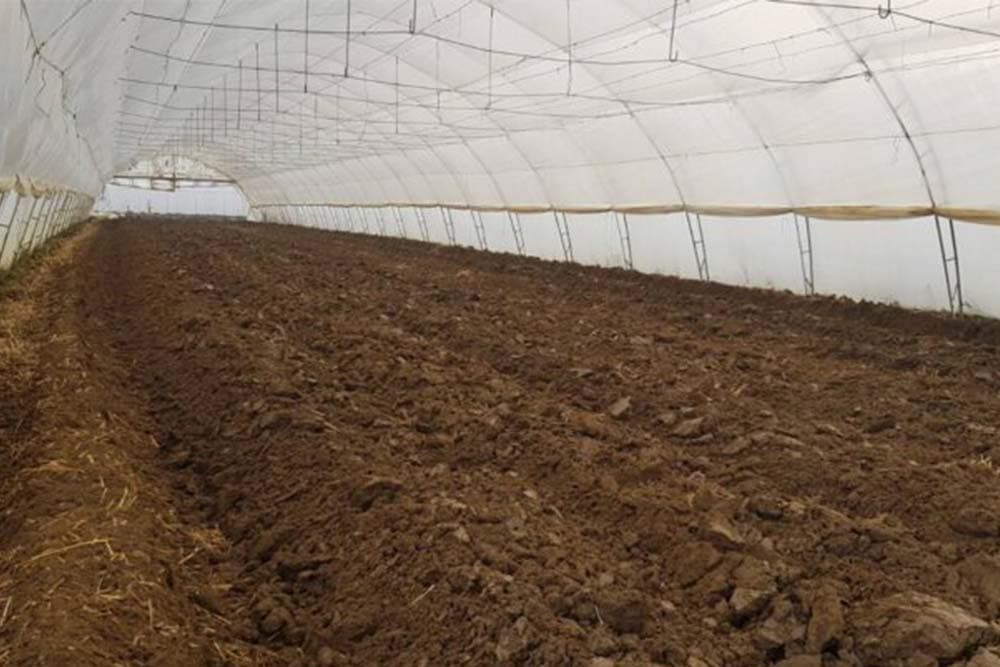 Dezinfekcija zemljišta