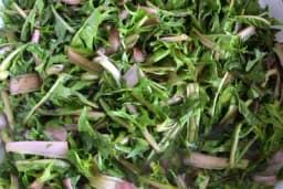 Listovi maslačka - Proljetna salata koja je puna vitamina