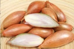 Kako da uzgojite LUK KOZJAK ?