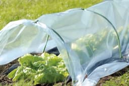 Mini plastenik – Jednostavan način za ranije dozrijevanje povrća u svakoj bašti