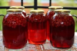 Narodni lijek koji pomaže kod ženskih tegoba, štiti od srčanog udara, a izvrsnog je ukusa