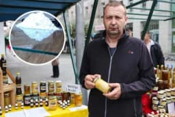 Prijedorčanin proizvodi pčelinji otrov- Kilogram košta i do 70.000 dolara!