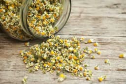 Da li ČAJ OD KAMILICE zaista pomaže da lakše zaspimo?