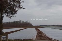 Čime je najbolje zaštititi povrće od niskih temperatura?