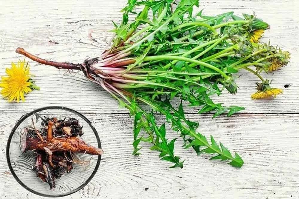 8 recepata koji smanjuju nivo šećera u krvi