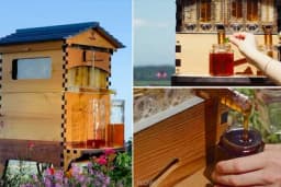 Nova pametna košnica - Med teče kao iz česme