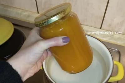 Kako pravilno otopiti ušećereni med?
