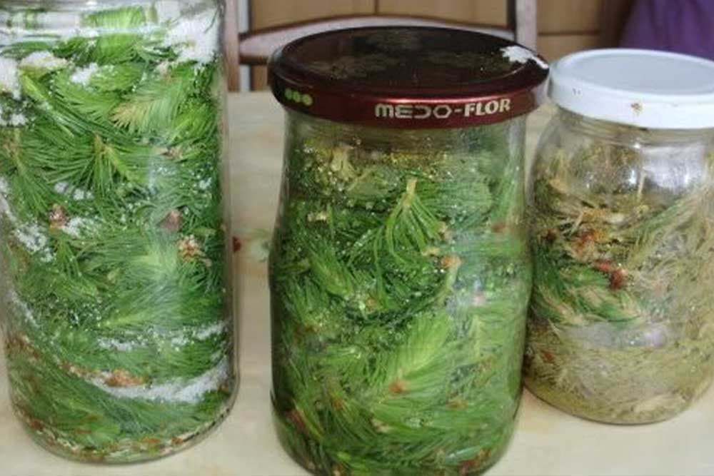 Sirup od borovih iglica