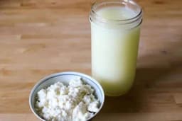 Priprema domaće sirutke