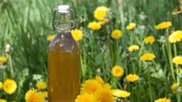 Recepti za domaći liker i sirup od maslačka