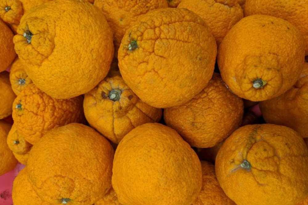 "Ovo će se prodavati kao ludo"