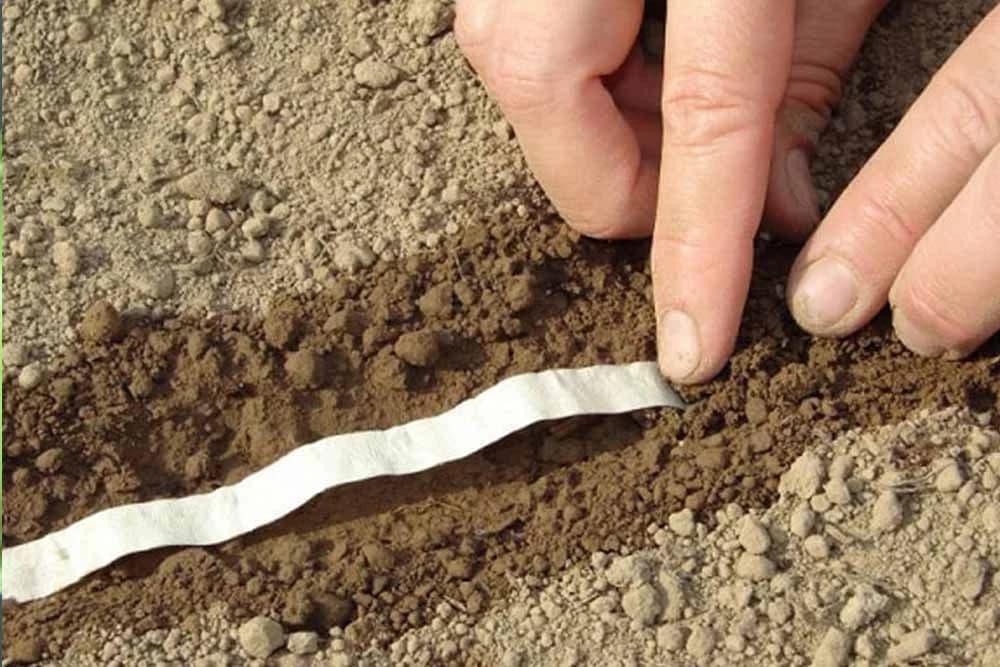 Započnite sjetvu na toalet papiru - Napravite traku sjemena, nova metoda u baštovanstvu