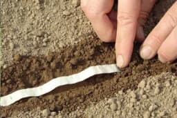 Započnite sjetvu na toalet papiru - Napravite traku sjemena, nova metoda u baštovanstvu