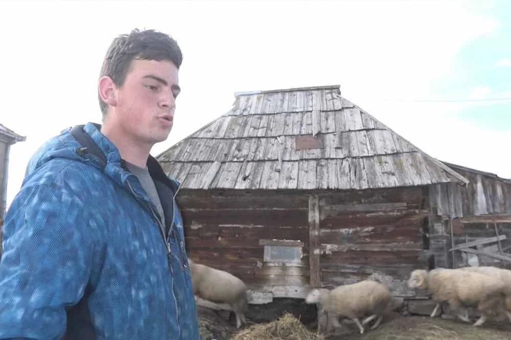 Poslije očeve smrti baki obećao - Neću dopustiti da tuđe ovce pasu naše livade! DOMAĆIN ZA PRIMJER SA SAMO 18 GODINA