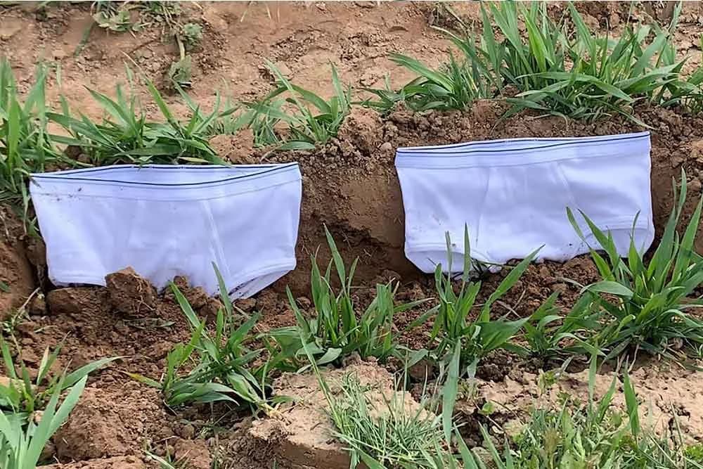 Gaće i kvalitet tla