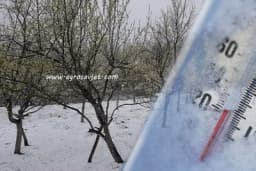 Prognoza - Najveća opasnost od mraza tek slijedi: OPREZ VOĆARI!