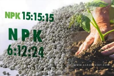 Šta je to NPK đubrivo i kako se koristi u povrtarstvu!