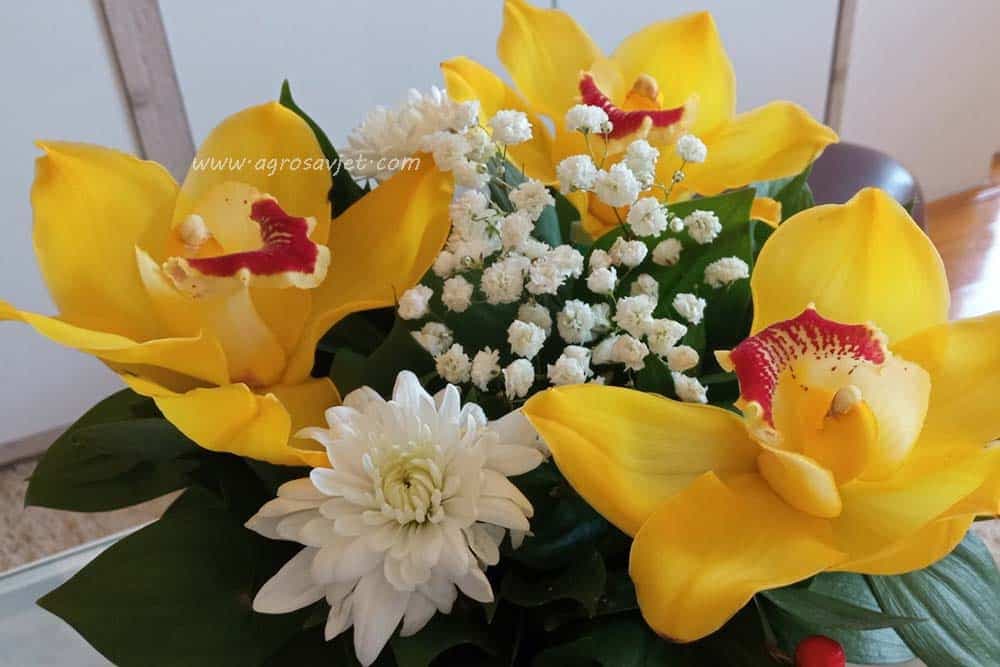 Poklanjanje cvijeća