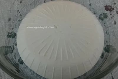 Zašto je kozji sir izuzetno dobar za naše zdravlje?