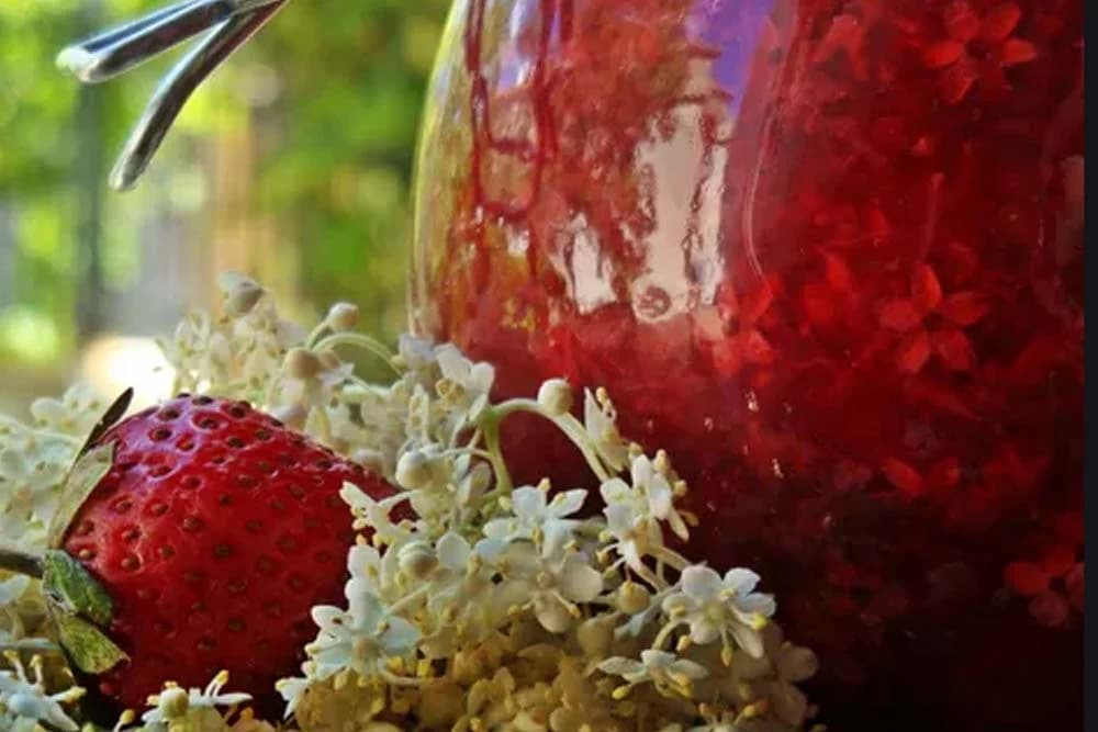 Liker od zove i jagode