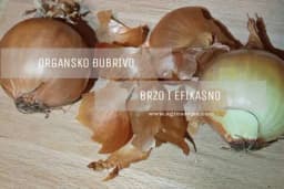 Prirodno đubrivo od ljuske luka - Spremno za upotrebu za samo 24 sata