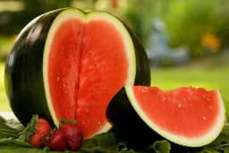 Najzastupljenije sorte dinje i lubenice