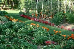 Ove radove u bašti u septembru ne preskačite, ključni su za dobru novu sezonu