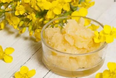 Med od uljane repice - Bijeli med koji ima mnogo ljekovitih svojstva