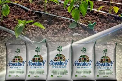 NOVALON - Vodorastvorljiva NPK đubriva za potpunu prihranu biljaka