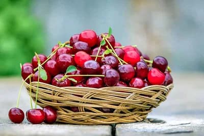 7 razloga zašto je dobro jesti višnje