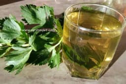 Evo zašto je dobro konzumirati čaj od celera