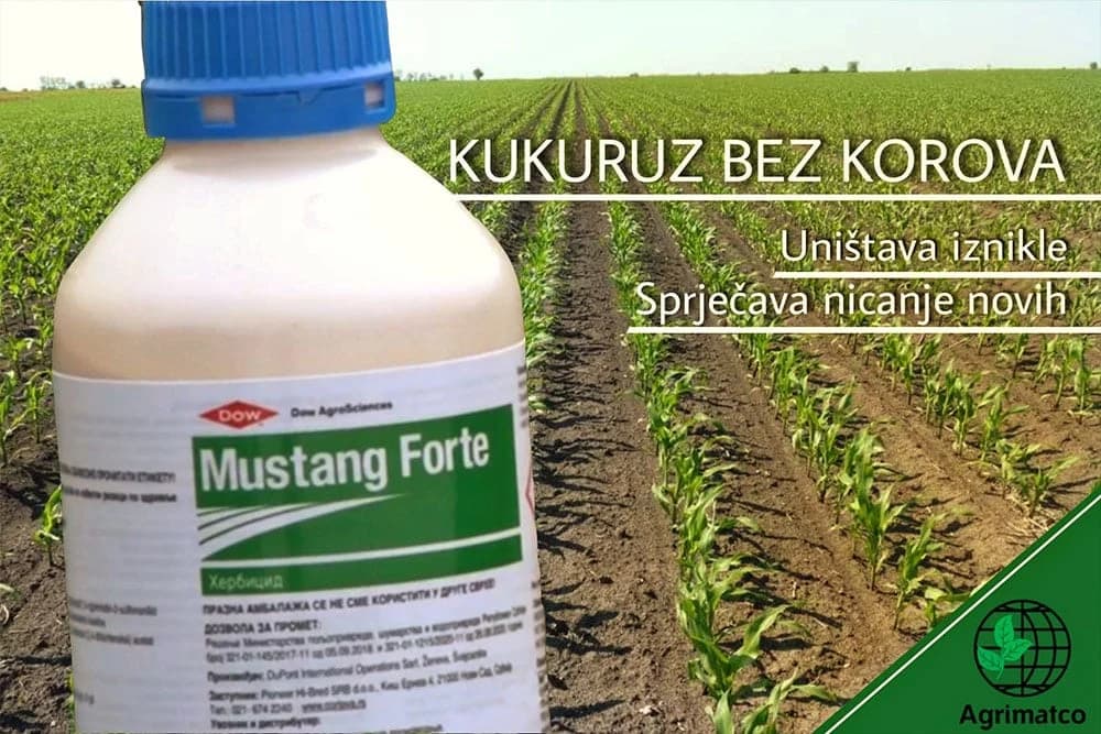 Herbicid Mustang Forte