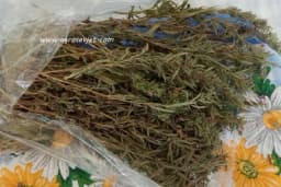 Rtanjski čaj - Magija u šoljici koja liječi