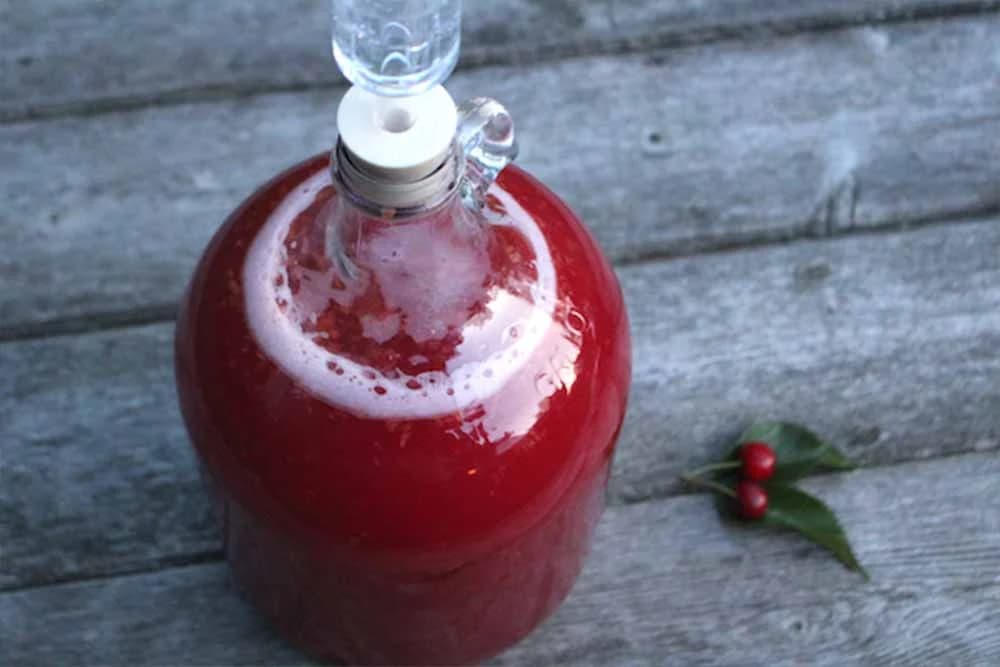 Dezertno vino od višanja