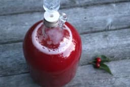 Dezertno vino od višanja