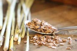 Kora od vrbe - Da li ste znali koja ljekovita svojstva posjeduje?