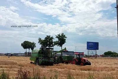 Premija za pšenicu dva feninga po kilogramu