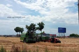 Premija za pšenicu dva feninga po kilogramu