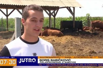 Fakultet, pa nazad na selo - Boris uzgaja rasu koja daje najkvalitetnije meso u svijetu