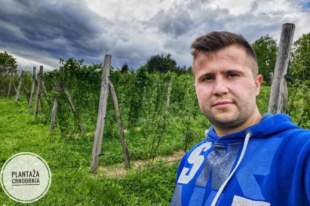 Miroslavljevi kupinjaci - Šta je sve smislio mladi inženjer poljoprivrede