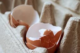 Razbijena jaja u supermarketu su vrlo opasna, ne dodirujte ih