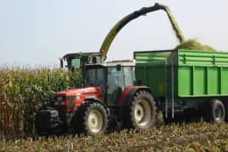 Pet biljaka koje su pogodne za pripremu silaže