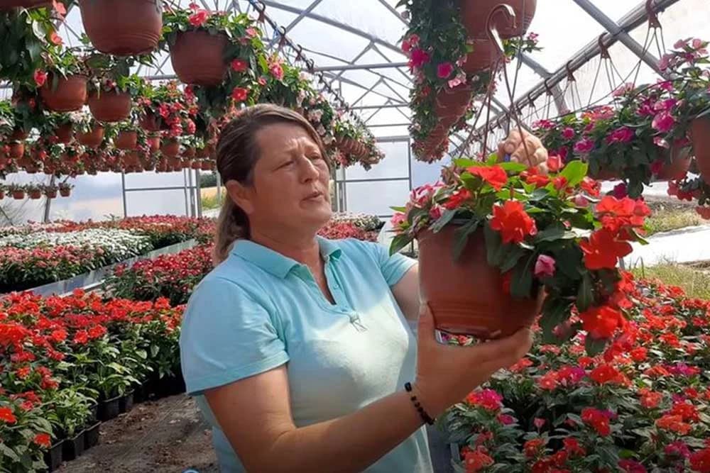 Cvijeće ove porodice stiglo je do Bijelog dvora i Vlade Republike Srbije - Zavirite u pravu "fabriku" cvijeća