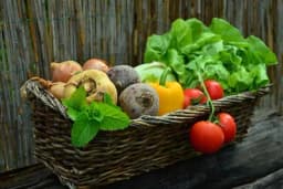 Stiže nam septembar – Mjesec velikog spremanja u baštama