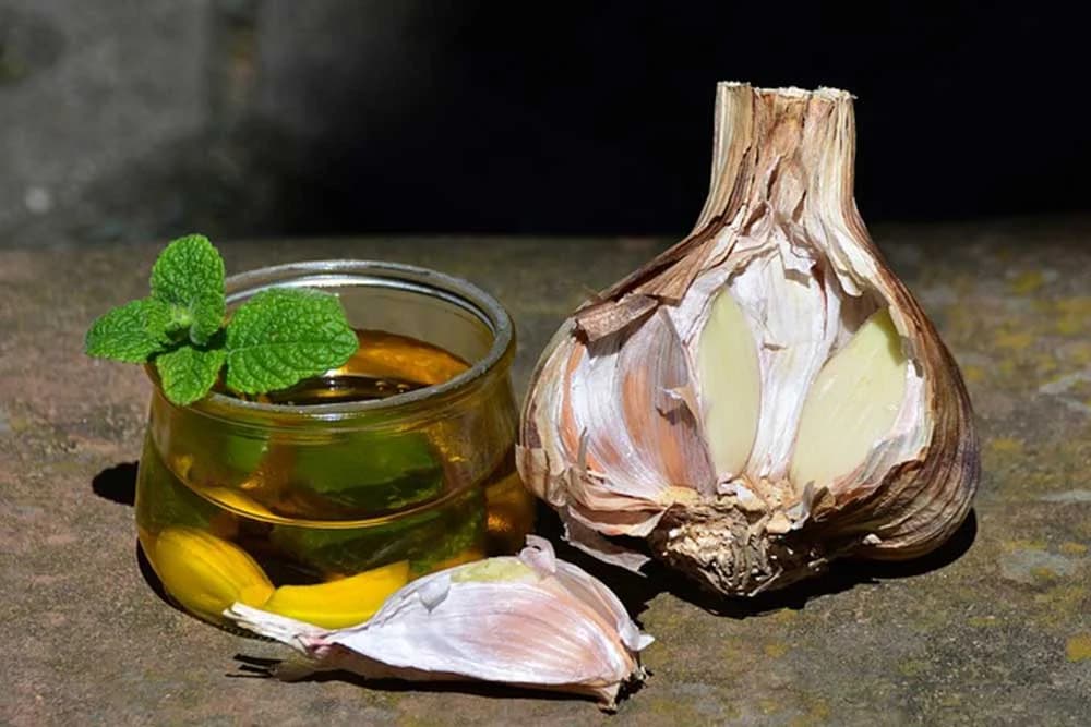 ulje bijelog luka