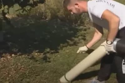 Kako pojednostaviti berbu lješnika?