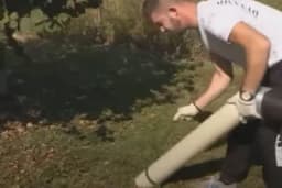 Kako pojednostaviti berbu lješnika?