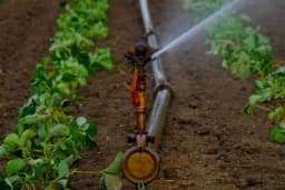 Upotreba tenziometra u proizvodnji povrća u zatvorenom prostoru