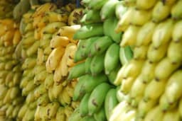 Zelene, žute ili braon – nisu sve jednako zdrave: Evo koje su najbolje