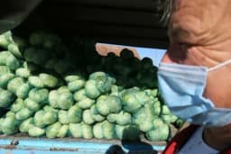 Paprena cijena povrća, kupus četiri puta skuplji nego lani